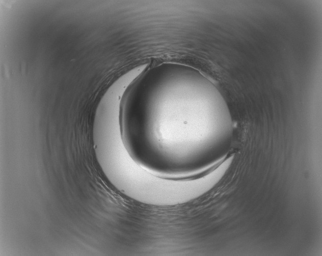 X0000060781202200512011629