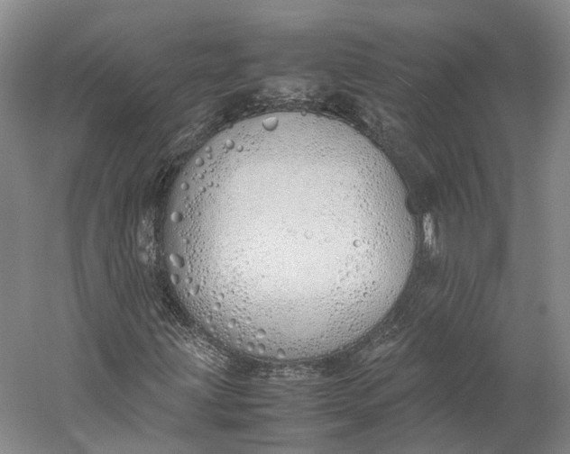 X0000060781203200512011629