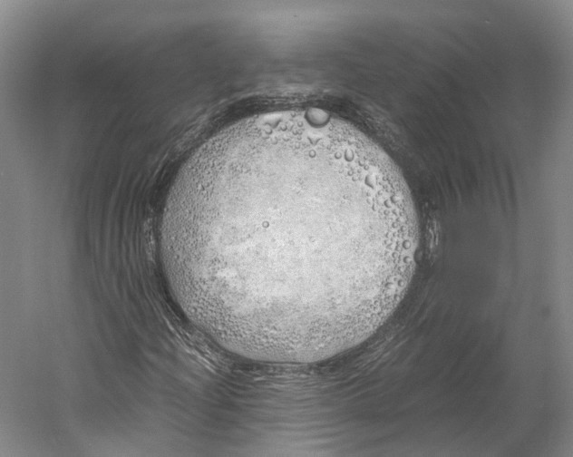 X0000060781204200512011629