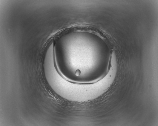 X0000060781206200512011629