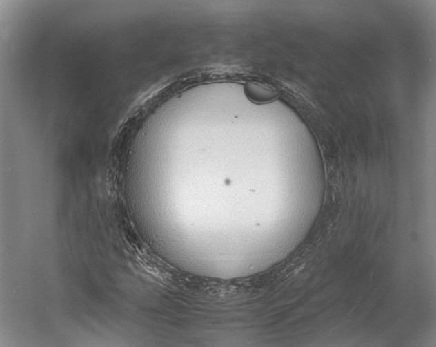 X0000060781207200512011629