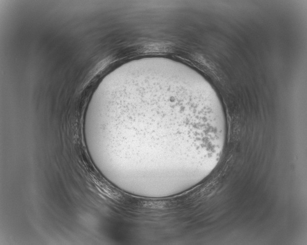 X0000060781211200512011629