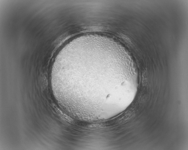 X0000060781212200512011629