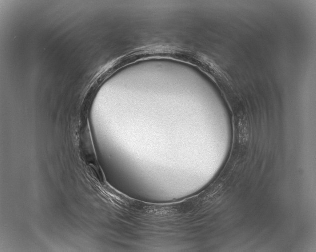 X0000060781213200512011629