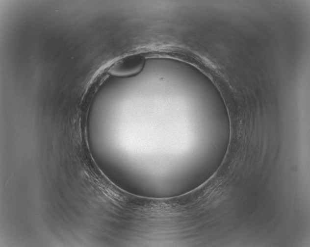 X0000060781214200512011629