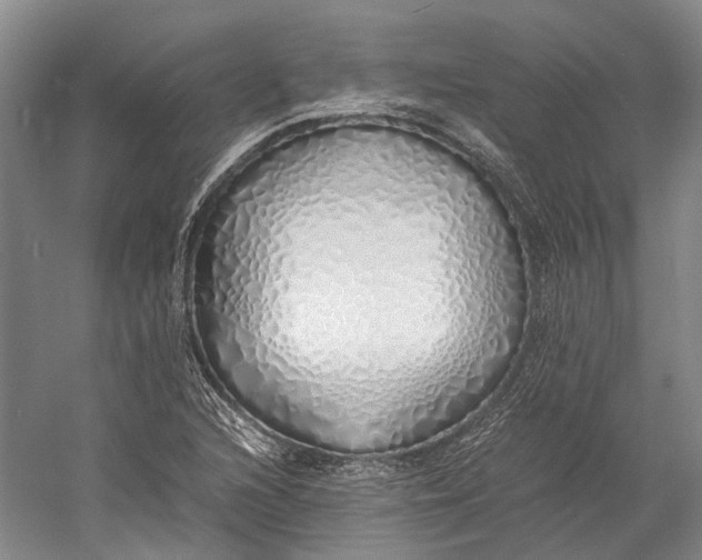 X0000060781216200512011630