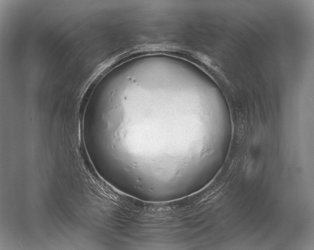 X0000060781221200512011630