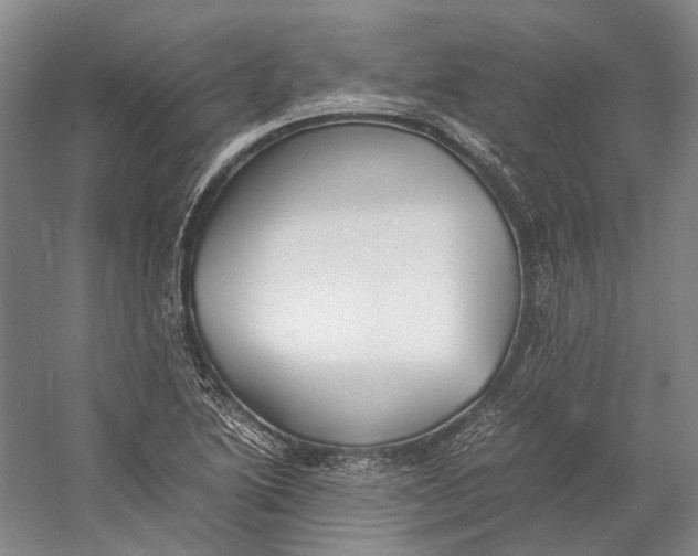 X0000060781222200512011630