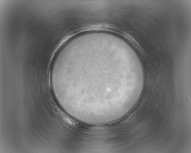 X0000060781224200512011630