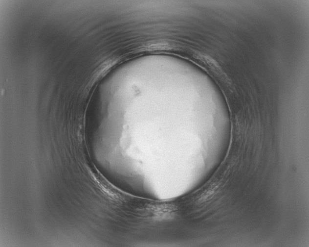 X0000060781225200512011630