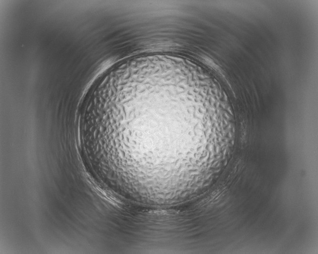 X0000060781227200512011630