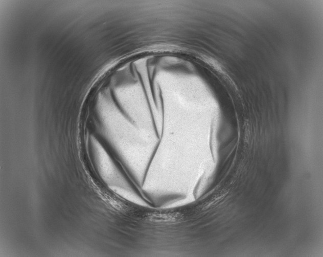 X0000060781229200512011630
