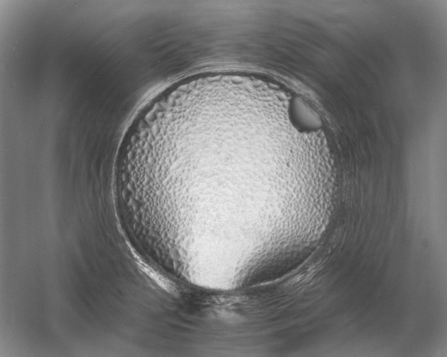 X0000060781231200512011630