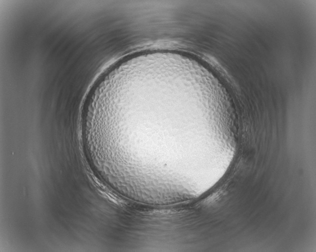 X0000060781232200512011630