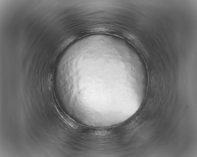 X0000060781233200512011630