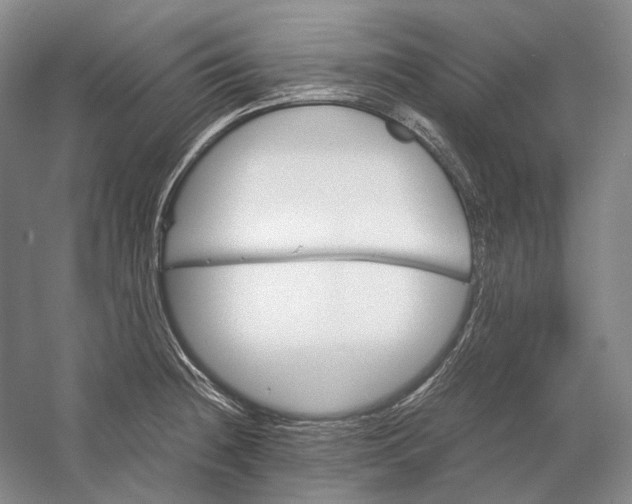 X0000060781236200512011630