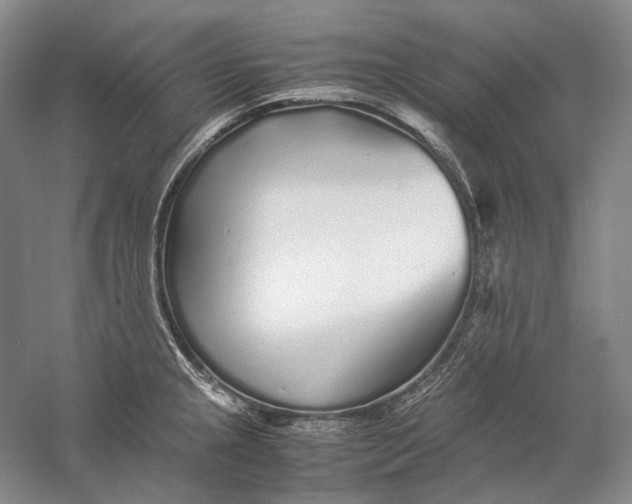 X0000060781237200512011630