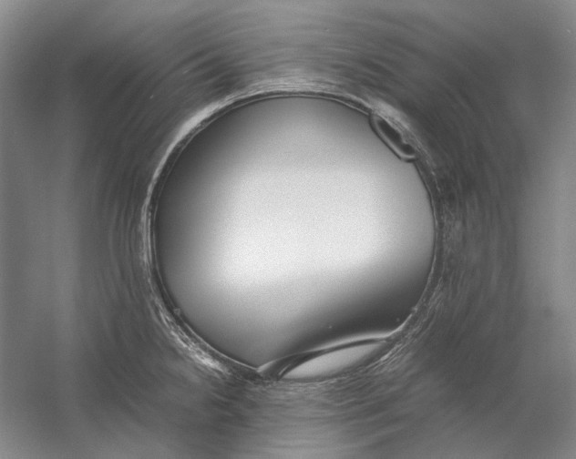 X0000060781238200512011630