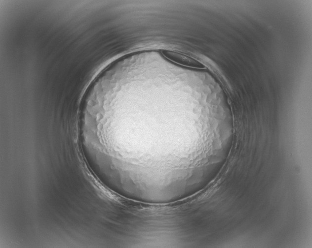X0000060781244200512011630