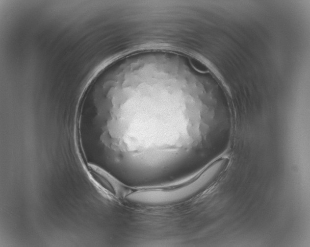 X0000060781245200512011630