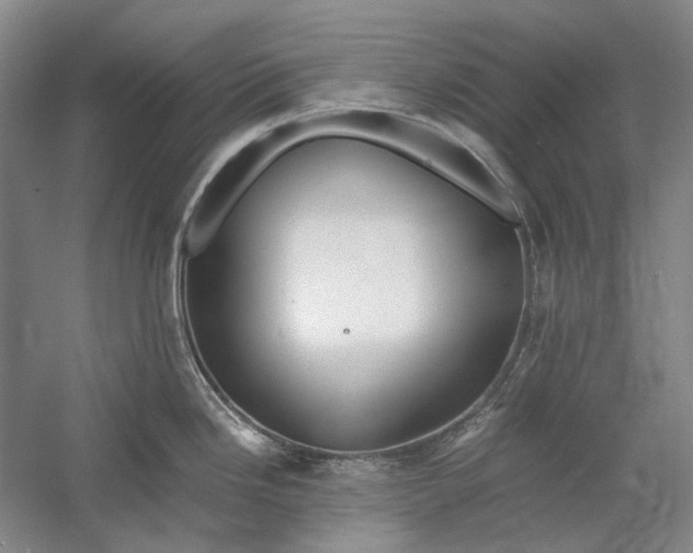 X0000060781246200512011630