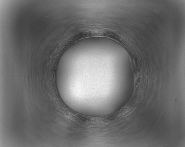 X0000060781249200512011629