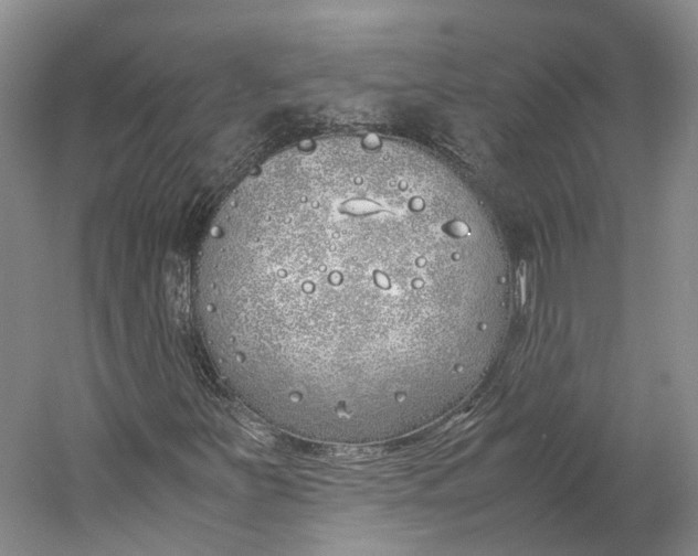 X0000060781251200512011629