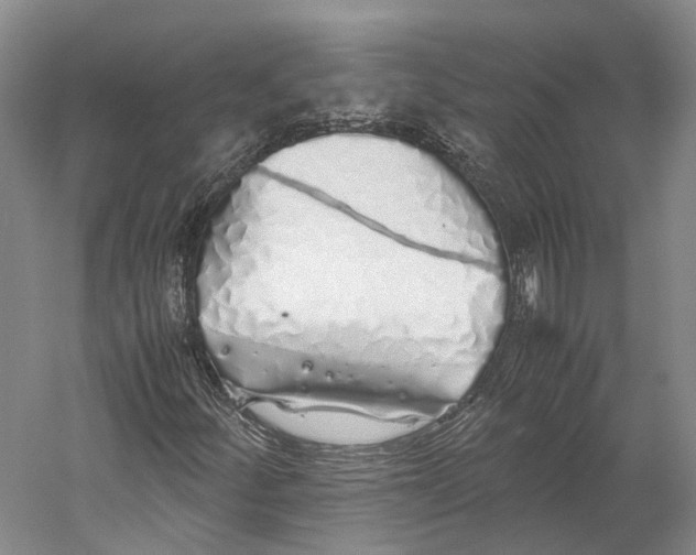 X0000060781252200512011629