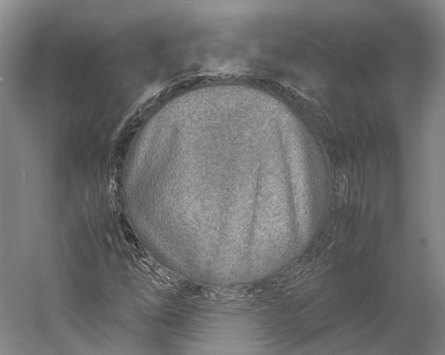 X0000060781254200512011629