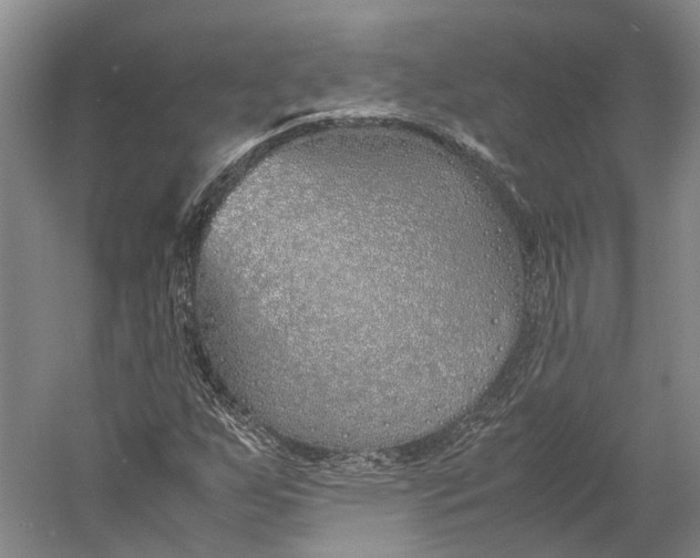 X0000060781255200512011629