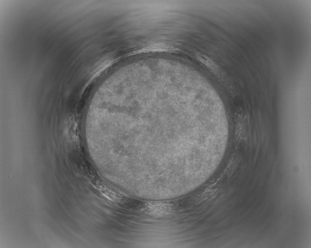 X0000060781258200512011629