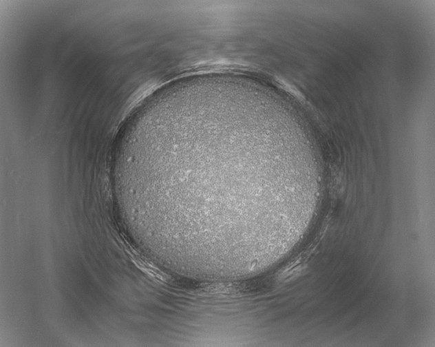 X0000060781259200512011629