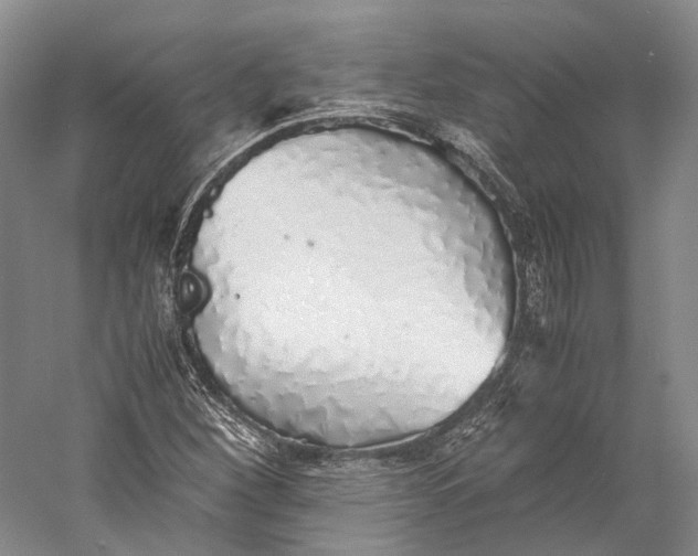 X0000060781260200512011629