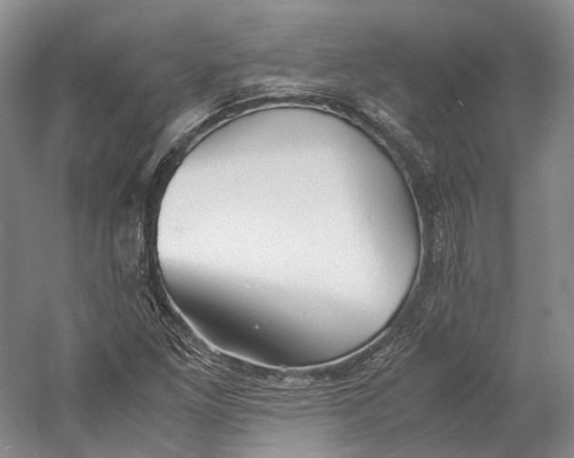 X0000060781261200512011629