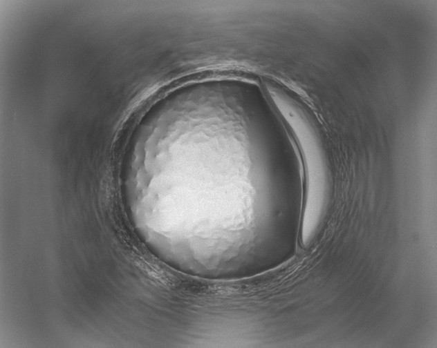 X0000060781263200512011629