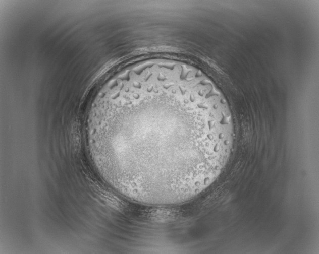 X0000060781266200512011629