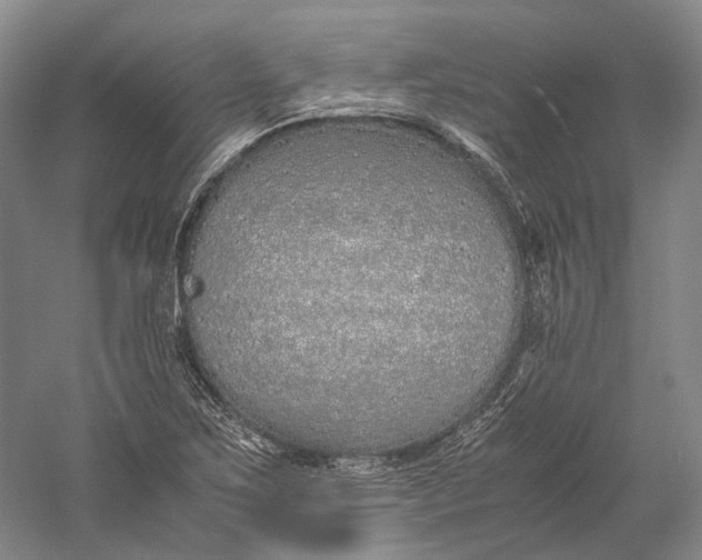 X0000060781267200512011629