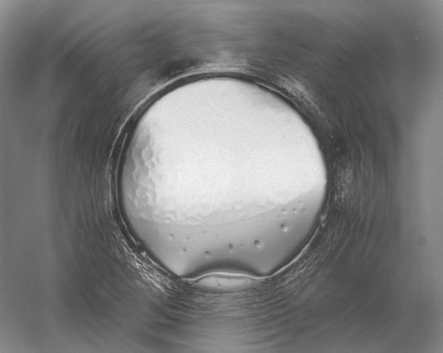 X0000060781268200512011629