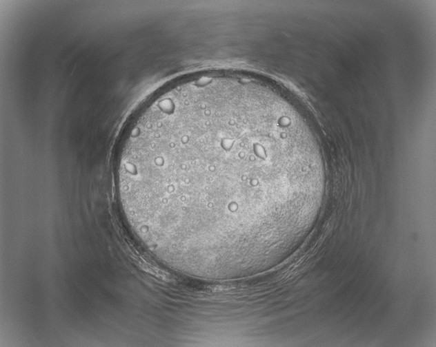 X0000060781271200512011629