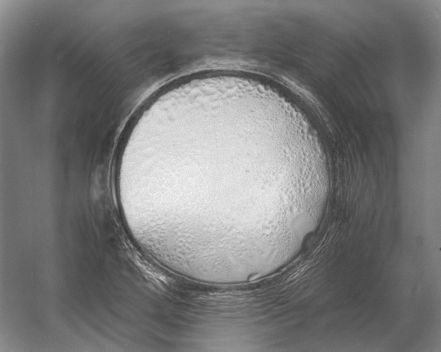 X0000060781272200512011629