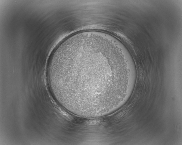 X0000060781278200512011629