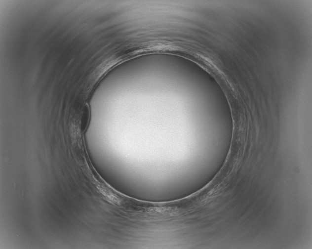 X0000060781281200512011629