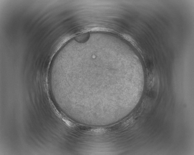 X0000060781282200512011629