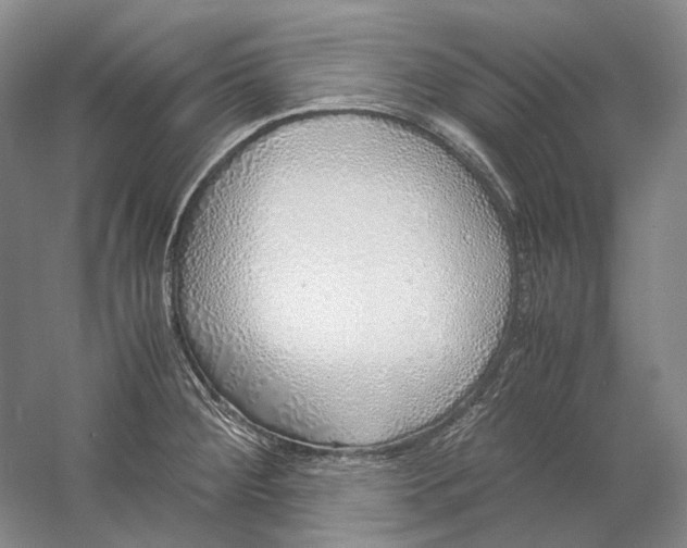 X0000060781284200512011629