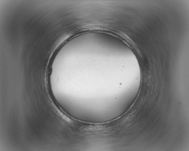 X0000060781285200512011629