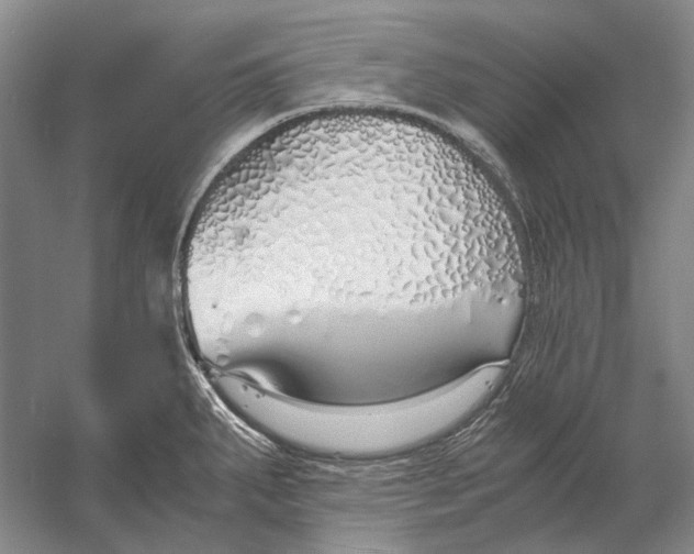 X0000060781287200512011629