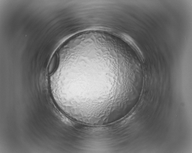 X0000060781292200512011628