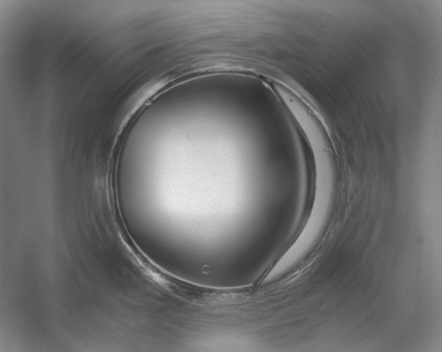 X0000060781293200512011628