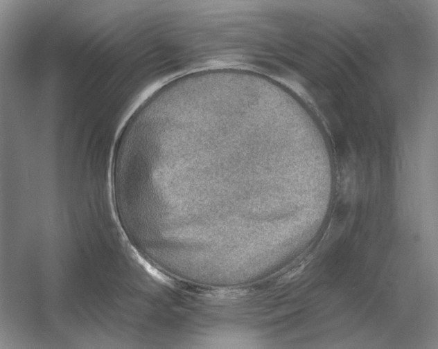 X0000060781294200512011628