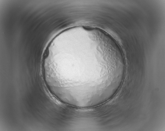 X0000060781296200512011628